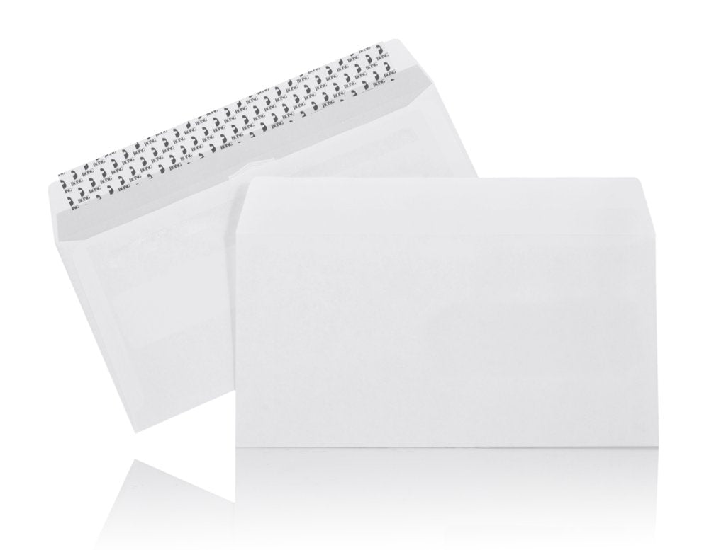 E65 Mailman 90g SKD (500)