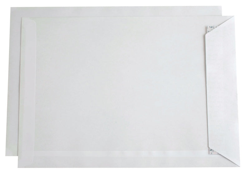 B4 P Mailman 100g SKD (250)